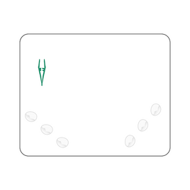 Set pansement, Image 1