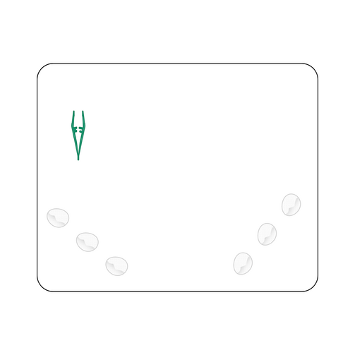 Set pansement, Image 1